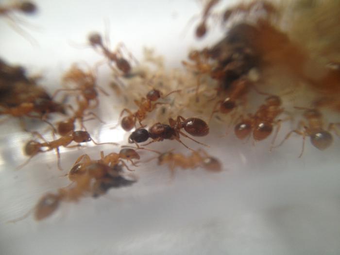  03.05.15, 10 28 18.jpg